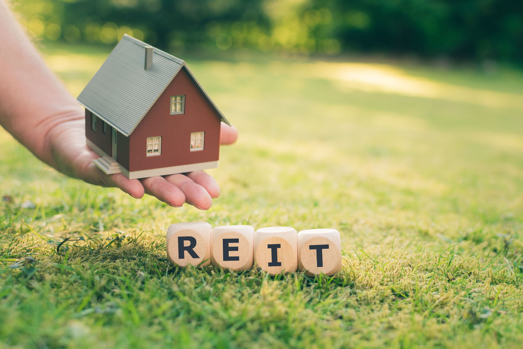 A hand holds a small model house over cubes that form “REIT,” the abbreviation for real estate investment trust.